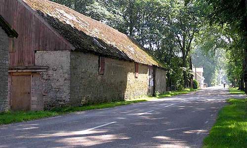 Foto: Stefan Svenaeus