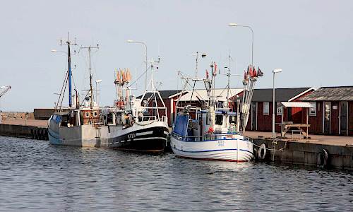 Foto: Stefan Svenaeus 2014
