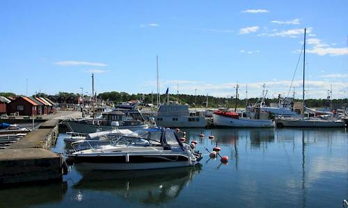 Foto: Stefan Svenaeus