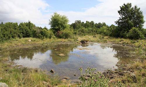 Foto: Stefan Svenaeus