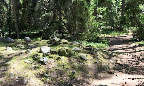 Foto: Stefan Svenaeus 2014