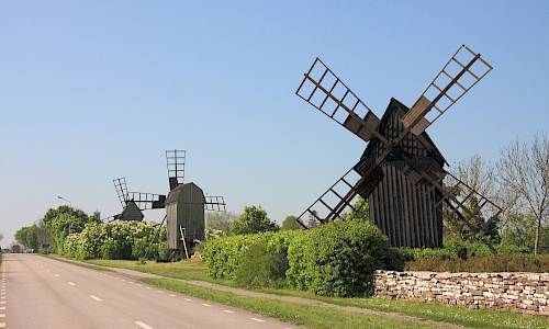 Foto: Stefan Svenaeus 2014
