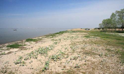 Foto: Stefan Svenaeus