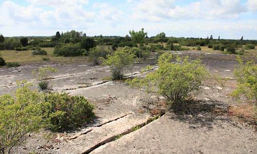 Foto: Stefan Svenaeus