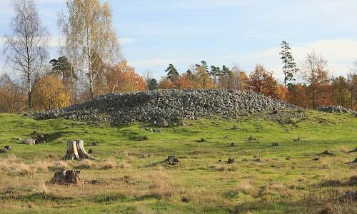 Foto: Stefan Svenaeus