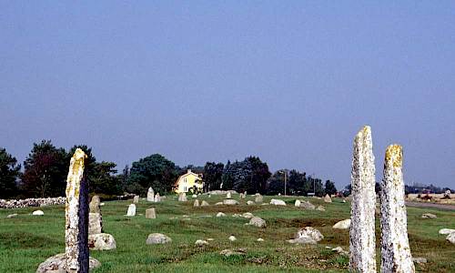 Foto: Stefan Svenaeus