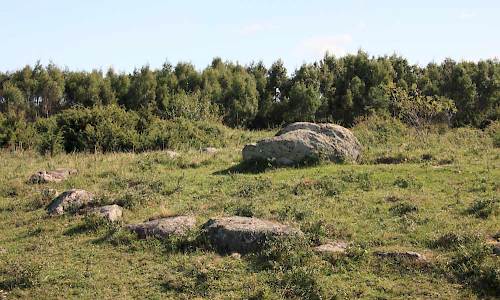 Foto: Stefan Svenaeus