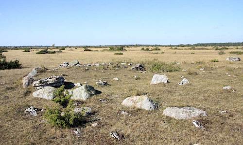 Grav på Parteby alvar. Foto: Stefan Svenaeus 2015