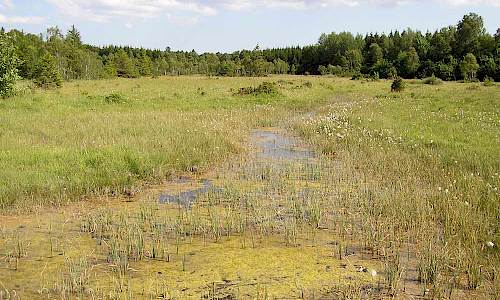 Foto: Stefan Svenaeus