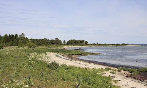 Foto: Stefan Svenaeus 2015
