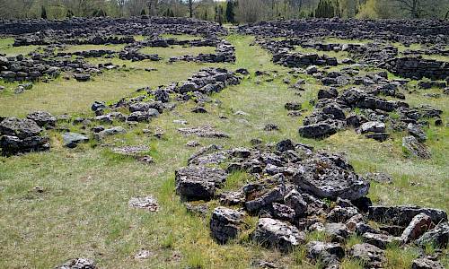Foto: Stefan Svenaeus