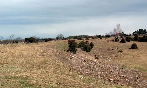 Foto: Stefan Svenaeus