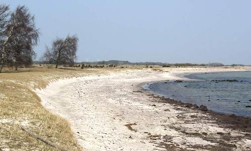 Foto: Stefan Svenaeus