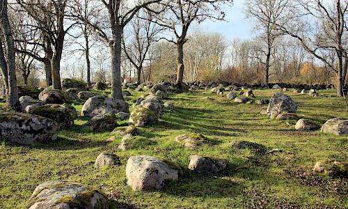 Foto: Stefan Svenaeus