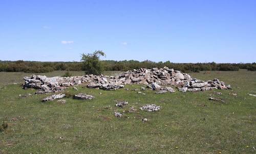 Foto: Stefan Svenaeus