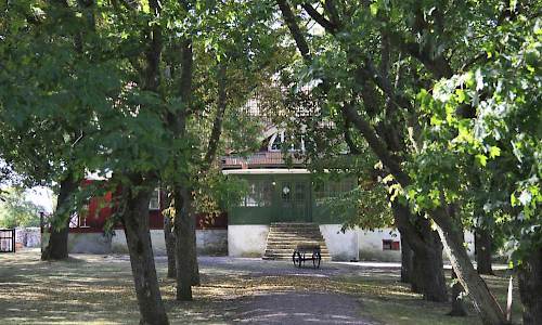 Foto: Stefan Svenaeus