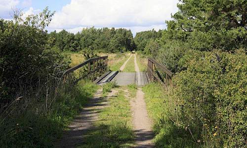 Foto: Stefan Svenaeus 2014