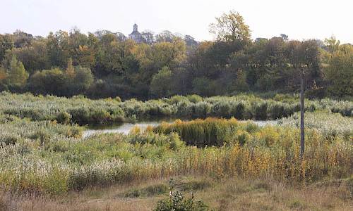 Foto: Stefan Svenaeus