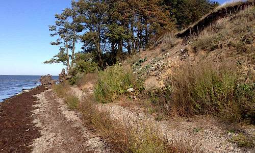 Foto: Stefan Svenaeus