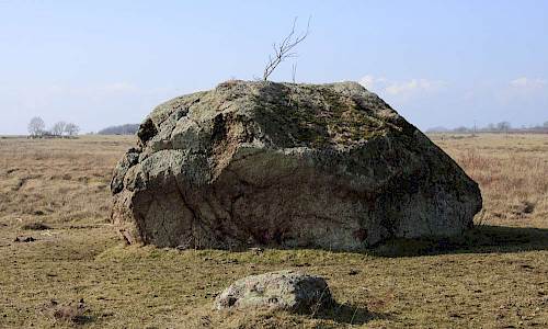 Foto: Stefan Svenaeus
