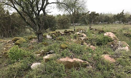 Foto: Stefan Svenaeus 2019