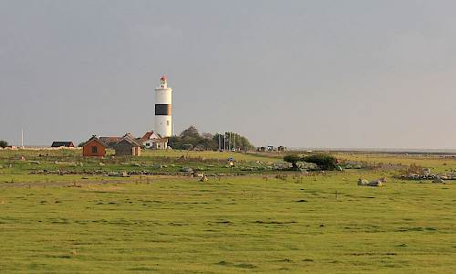 Foto: Stefan Svenaeus