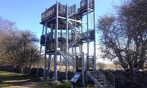 Foto: Stefan Svenaeus