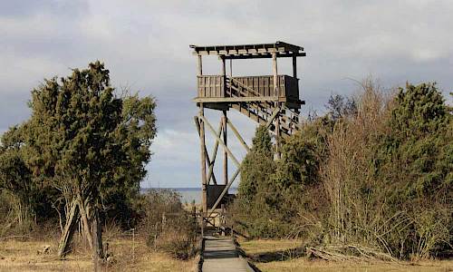 Foto: Stefan Svenaeus