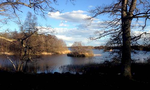 Foto: Stefan Svenaeus
