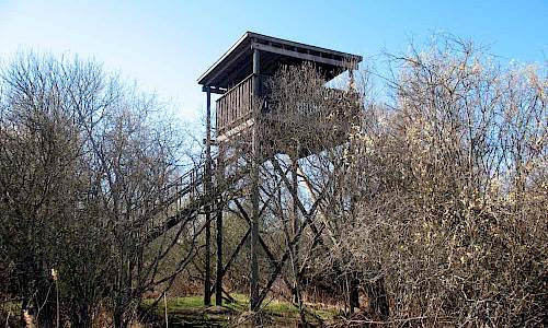 Foto: Stefan Svenaeus