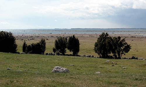 Foto: Stefan Svenaeus