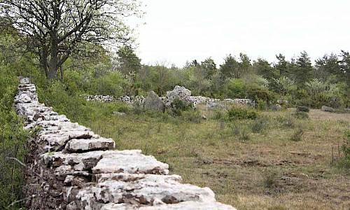 Foto: Stefan Svenaeus