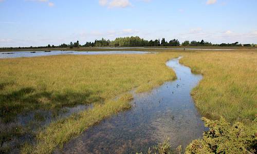 Foto: Stefan Svenaeus