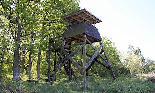 Foto: Stefan Svenaeus