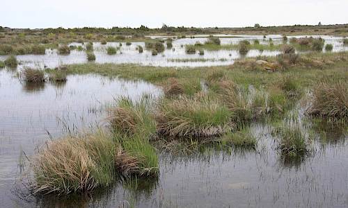 Foto: Stefan Svenaeus 2016