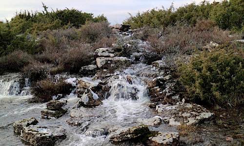 Foto: Stefan Svenaeus