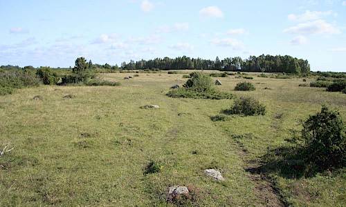 Millersten vandringsslinga