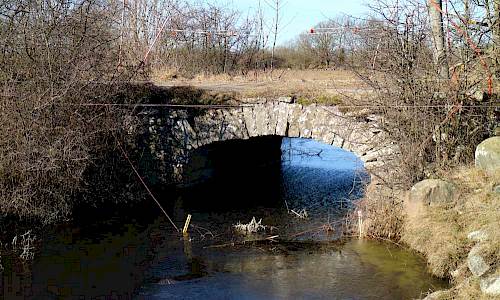 Foto: Stefan Svenaeus