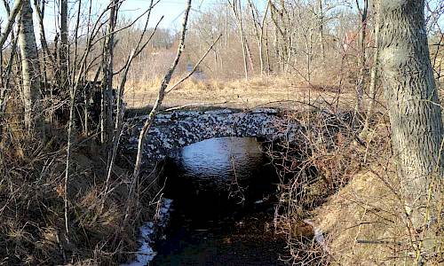 Foto: Stefan Svenaeus
