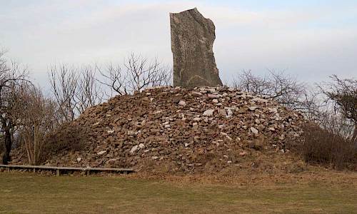 Foto: Stefan Svenaeus