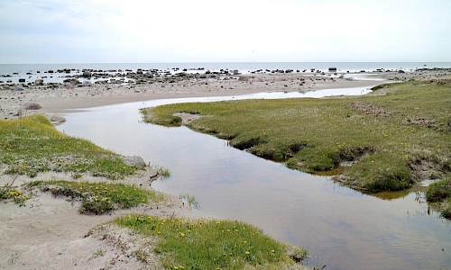 Foto: Stefan Svenaeus