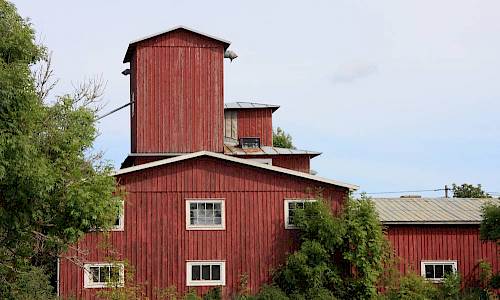 Foto: Stefan Svenaeus 2013