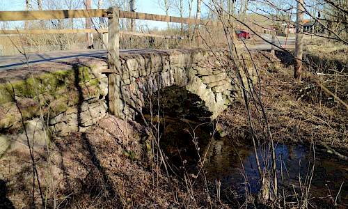 Foto: Stefan Svenaeus 2017