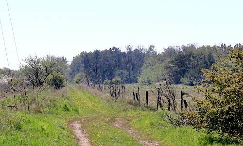 Foto: Stefan Svenaeus 2017