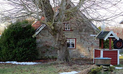 Foto: Stefan Svenaeus 2017