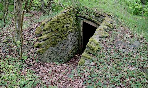 Foto: Stefan Svenaeus 2017
