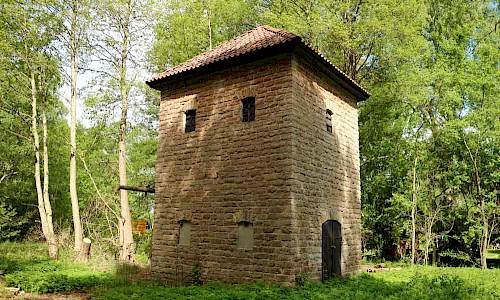 Foto: Stefan Svenaeus 2017