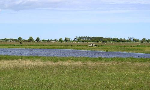 Foto: Stefan Svenaeus 2017