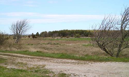 Foto: Stefan Svenaeus 2017