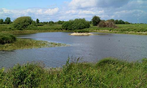 Foto: Stefan Svenaeus 2017